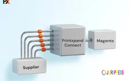 How to Set Up PromoStandards Magento Integration: A Step-by-Step Overview