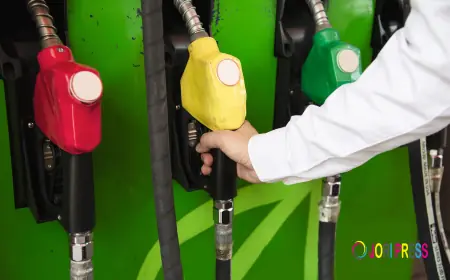 Ethanol Blended Petrol in India: Everything You Need to Know Before Filling Your Fuel Tank
