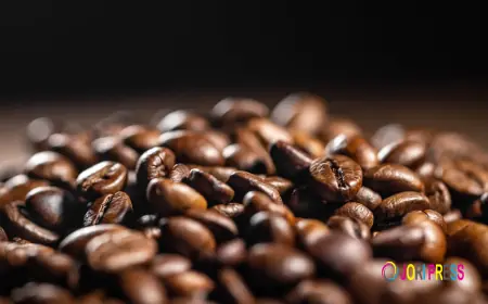 Hire a Coffee Van in Adelaide | Brew Crew Events