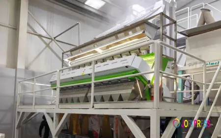 Top 8 Reliable Chinese Corn Color Sorter Suppliers in 2026