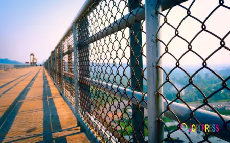 Dan Home Construction Brings Practical Chain Link Fencing Solutions to Property Owners