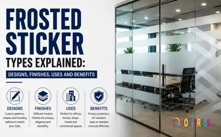 Frosted Glass Sticker Ideas for Better Privacy and Smarter Glass Design