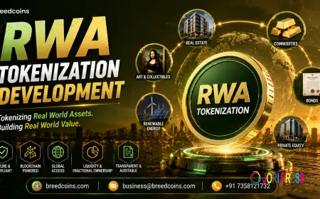 RWA Tokenization Development: A New Model for Digital Asset Ownership