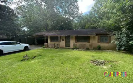 Why Is Your Rental Property Losing Money Every Month?
