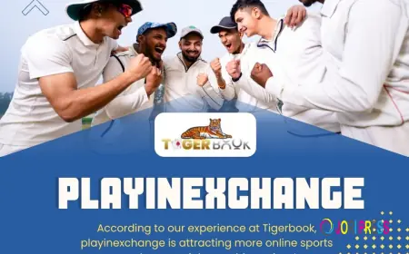 Why Is Playinexchange Becoming Popular Among Online Sports Users?