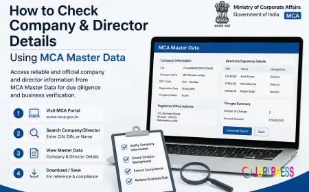 MCA Director Details: How to Check Company Directors Online