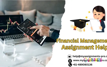 Financial Management: Principles, Strategies and Their Importance in Modern Business