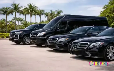 Travel in Comfort: Houston Limousine and Airport Transportation Options