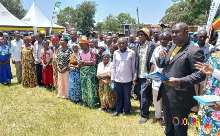 Excitement as Over 4,192 Residents Receive Certificates of Customary Ownership in Rwenzori Sub-region