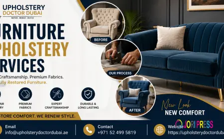 Furniture Upholstery Services: A Smart Way to Refresh Your Furniture