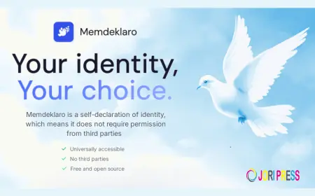 Memdeklaro: The Power and Promise of Self-Declared Identity