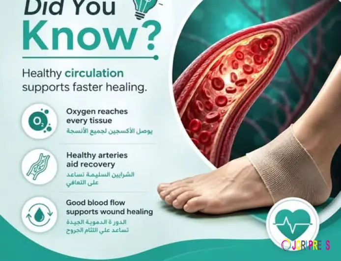 Best Vascular Surgeon UAE for Advanced Vein Care