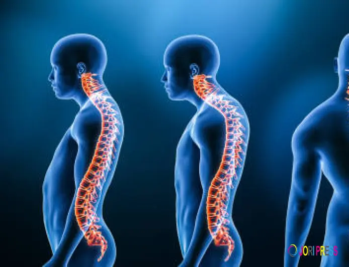 Understanding Spinal Curvature and Everyday Ways to Support Better Posture