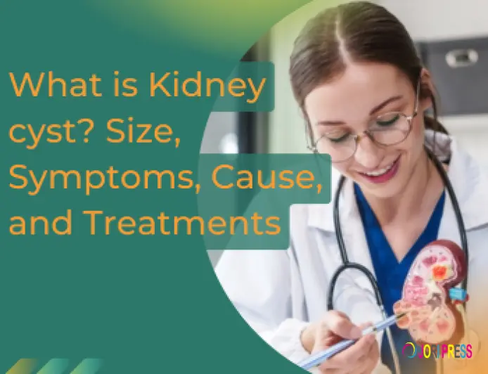 Understanding Kidney Cysts: Types, Symptoms, Causes, and Medical Management