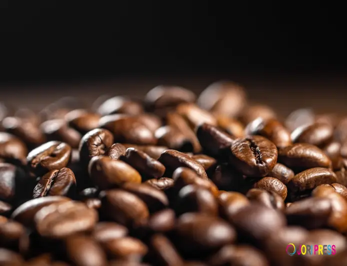 Hire a Coffee Van in Adelaide | Brew Crew Events