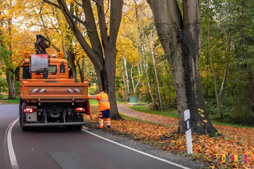 Vango Removal Continues to Grow as a Trusted Waste Removal Company in Banff