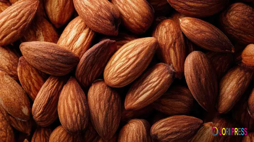 How to Choose a Reliable Almond Supplier in India for Quality and Bulk Orders