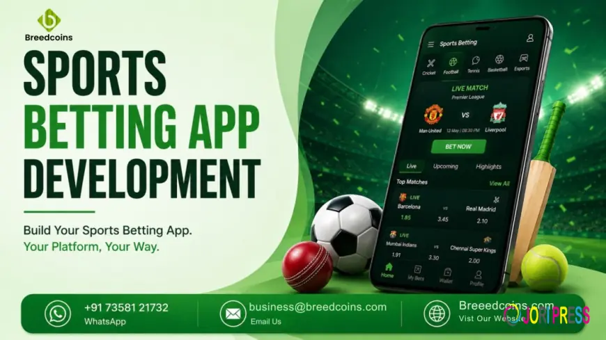A Complete Guide to Building a Successful Sportsbook Business