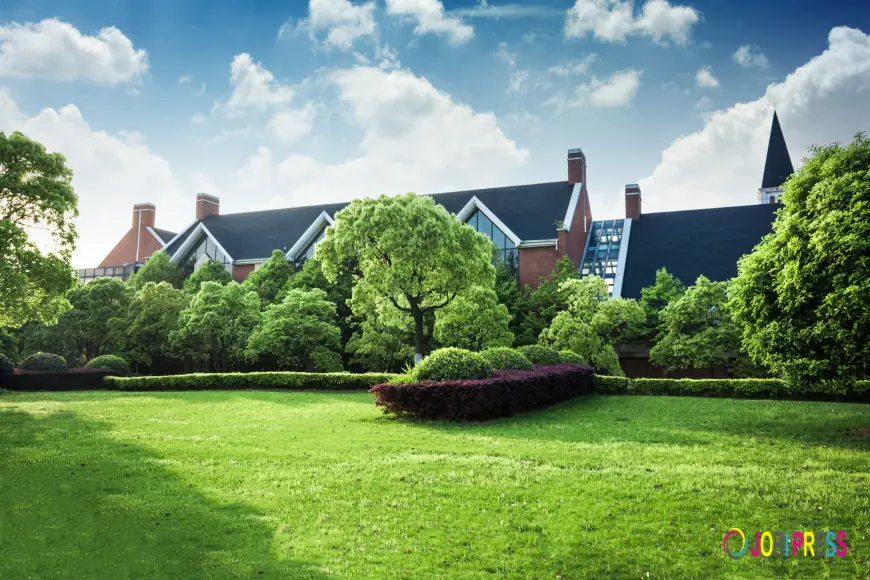 How a Professional Sprinkler Company in Bellmore Helps Maintain a Healthy Lawn