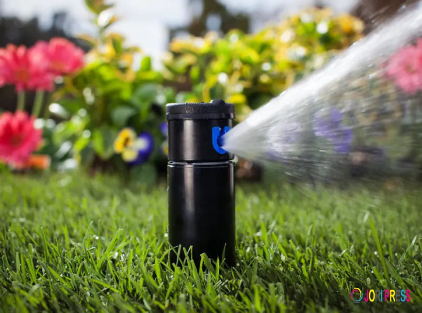 How a Professional Sprinkler Company in Bellmore Helps Maintain a Healthy Lawn