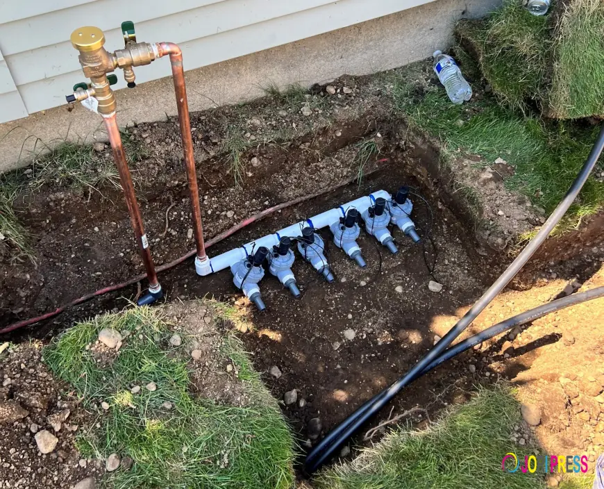 How a Professional Sprinkler Company in Bellmore Helps Maintain a Healthy Lawn