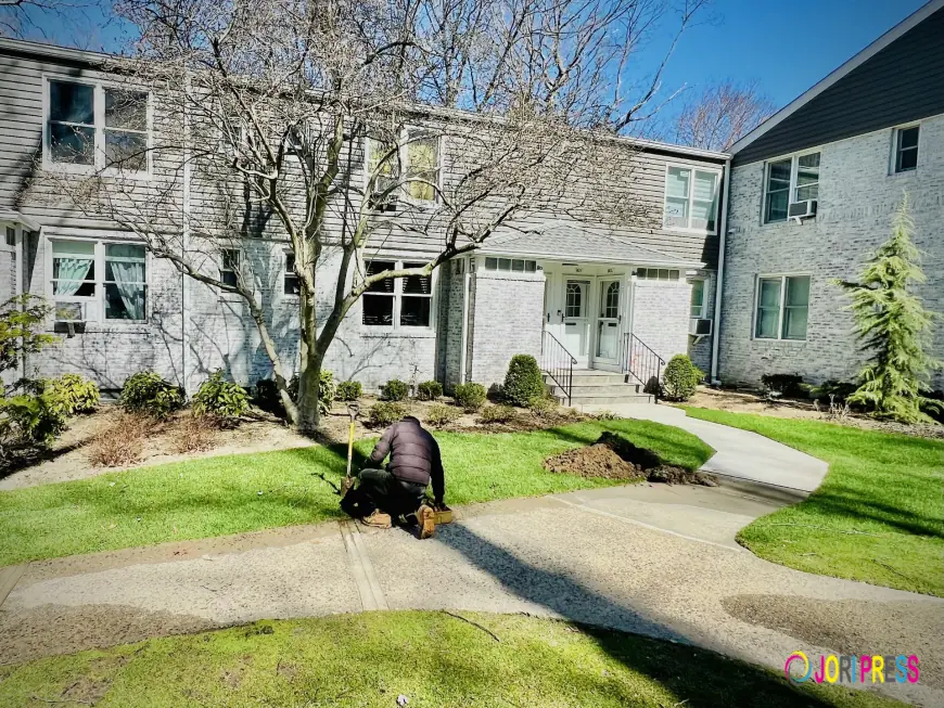 How a Professional Sprinkler Company in Bellmore Helps Maintain a Healthy Lawn
