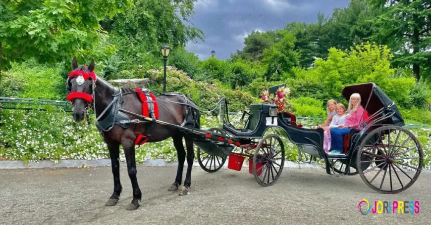 Horse Carriage Ride Central Park During Fall: Get a Colorful Experience