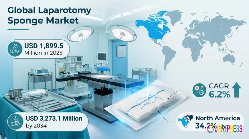 Laparotomy Sponge Market Size, Share & Growth Forecast 2034