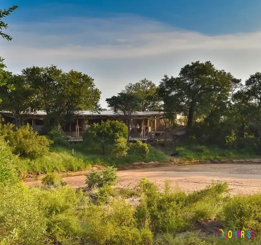 Celebrating 30 Years of African Adventures: Luxury Safaris, Honeymoons and a Journey Through Africa