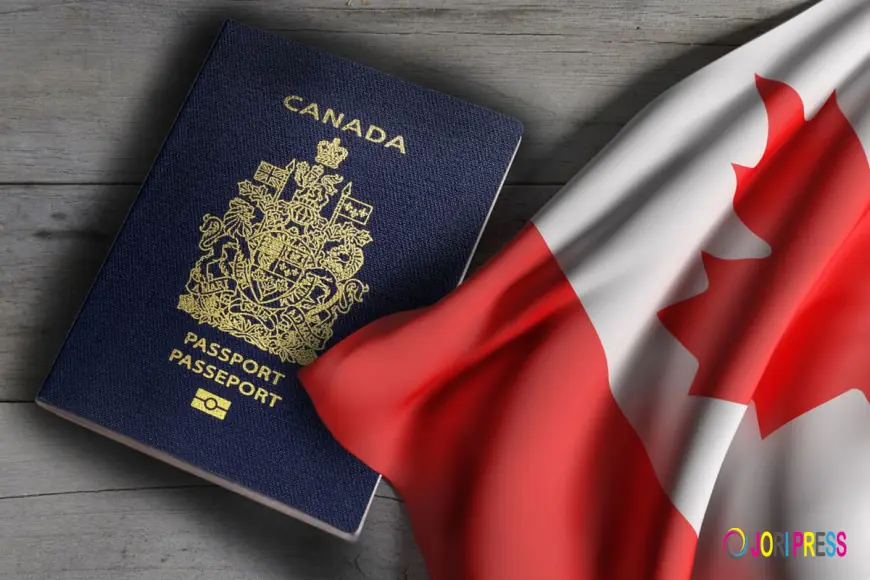 Onshore Immigration Recognized Among Best Immigration Consultants in Brampton, Ontario
