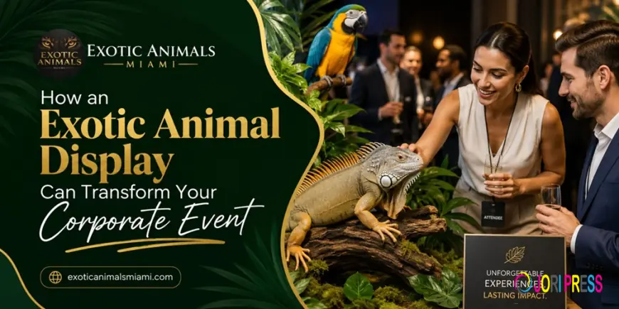 Exotic Animal Display | Corporate Events - Exotic Animals Miami