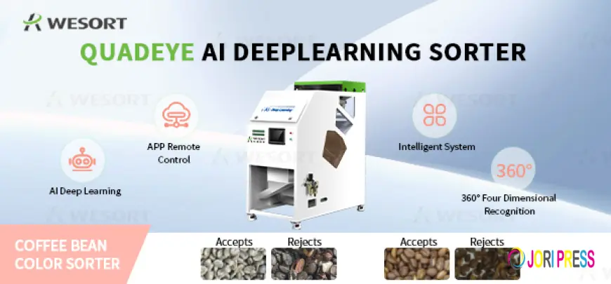 ¿Cómo elegir una máquina clasificadora de café para una planta procesadora?