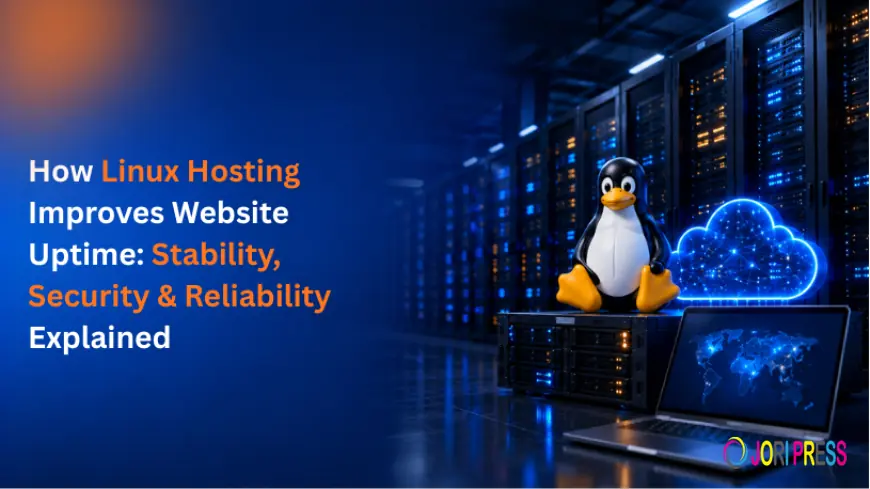 Why Linux Hosting Is a Reliable Choice for Business Websites | Datanet