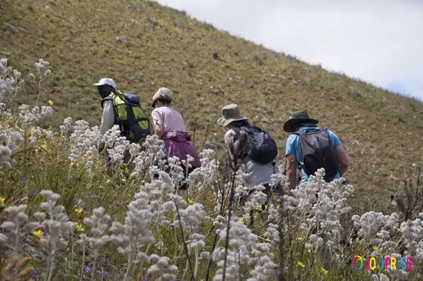 Discovering Bot River and the Beauty of Elgin Valley Through Slackpacking