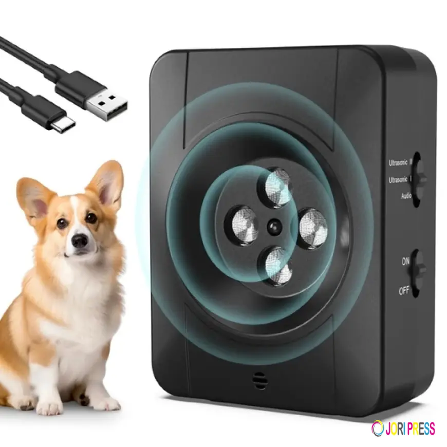 Buy Pet Accessories Online Without Wasting Half the Order