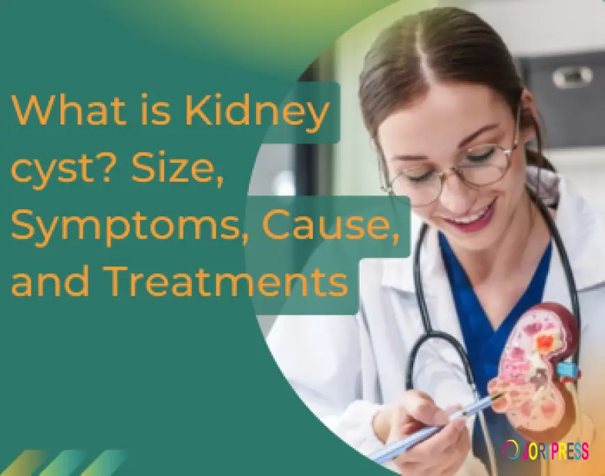 Understanding Kidney Cysts: Types, Symptoms, Causes, and Medical Management