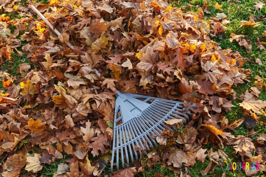 Fast Junk & Rubbish Removal Expands Waste Removal Dublin Services