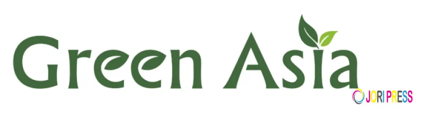 Why Green Asia Stands Out as a Trusted Global Nut and Dried Fruit Supplier