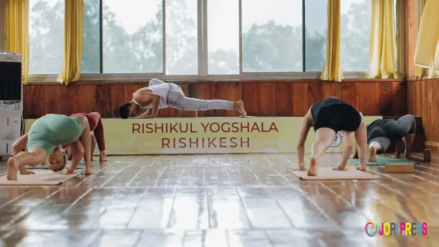 Why Choose 200 Hour Yoga Teacher Training in India?