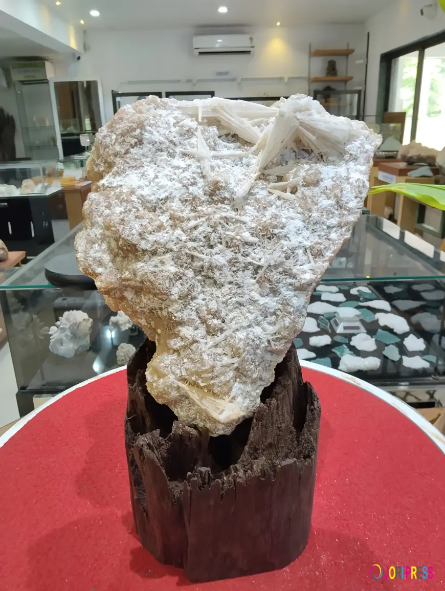 Mineralogy Educational Workshop India - A Practical Journey into Minerals, Crystals & Gemstones