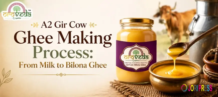 A2 Gir Cow Ghee Making Process: From Milk to Bilona Ghee