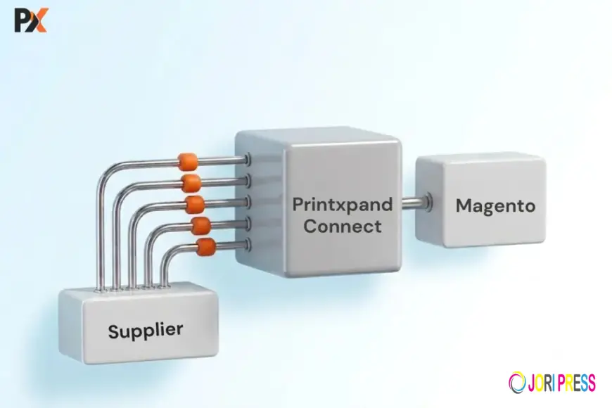 How to Set Up PromoStandards Magento Integration: A Step-by-Step Overview