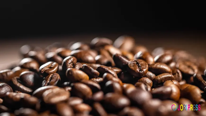 Hire a Coffee Van in Adelaide | Brew Crew Events