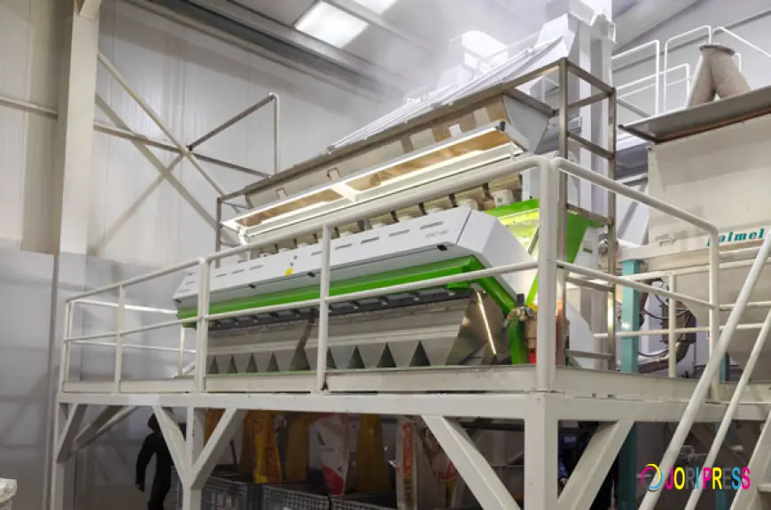 Top 8 Reliable Chinese Corn Color Sorter Suppliers in 2026