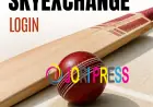 What Makes the SkyExchange Login Process Easy for Beginners?