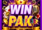 Win Pak Game – Explore a Modern Online Gaming Experience
