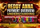 Reddy Anna Payment Overview: Understanding Deposits and Withdrawals