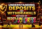 Understanding Deposits and Withdrawals Method of Reddy Anna Payment