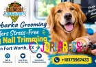 Chewbarka Grooming Offers Stress-Free Dog Nail Trimming in Fort Worth, TX