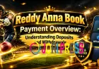 Reddy Anna Book Payment Overview: Understanding Deposits and Withdrawals
